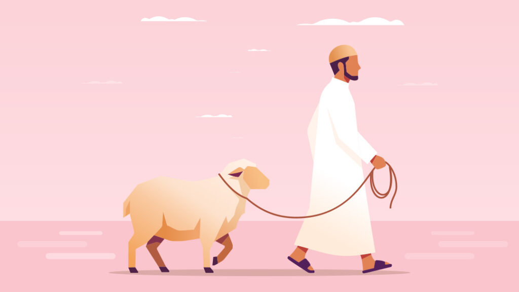 Les dispositions de l’udhiya (offrande / tabaski)